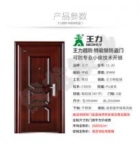王力防盗门甲级专利特能锁安全入户门CL-20可定制 950.2050左外开